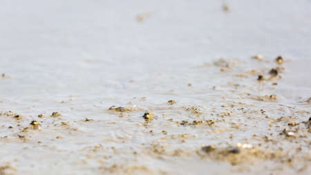 The beach during low tideの写真素材