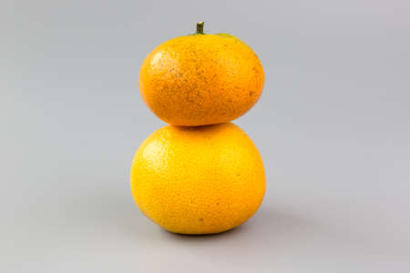 orangesの写真素材