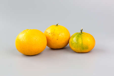 orangesの写真素材