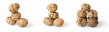  Walnutの写真素材