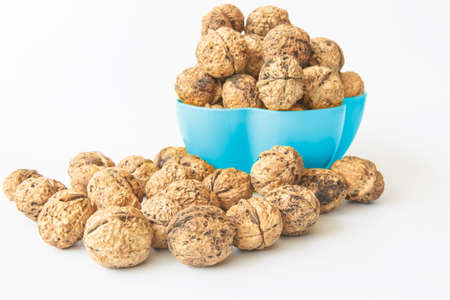  Walnut
