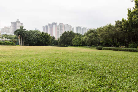 Grass and treesのeditorial素材