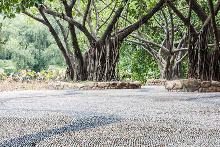 Outdoor scenesの写真素材