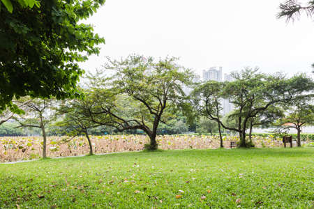 Outdoor scene materialの写真素材