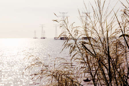 Evening Beachの写真素材