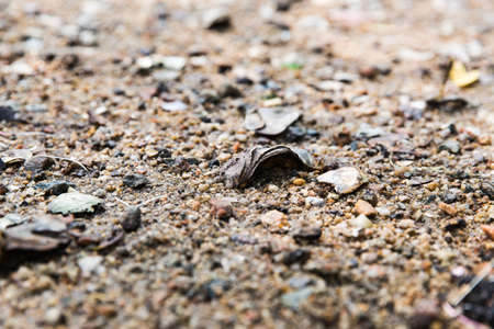 Beachの写真素材