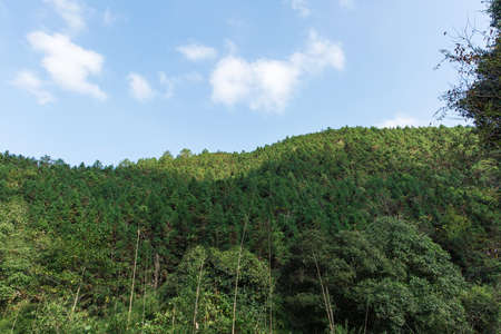 mountain with blue skyの写真素材