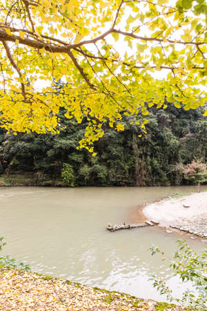 Deep autumn river viewの写真素材