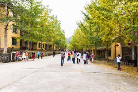 Autumn sceneryのeditorial素材