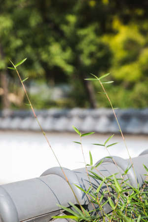 Landscape and bamboo wallのeditorial素材