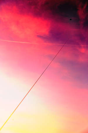 Flying a kiteの写真素材