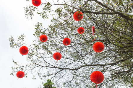 red lanternの写真素材