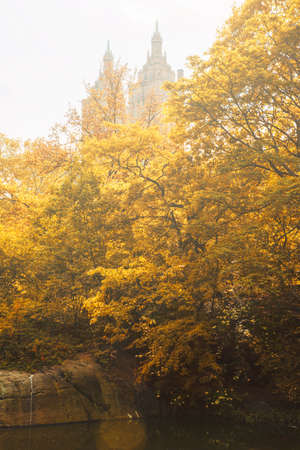 autumn landscape