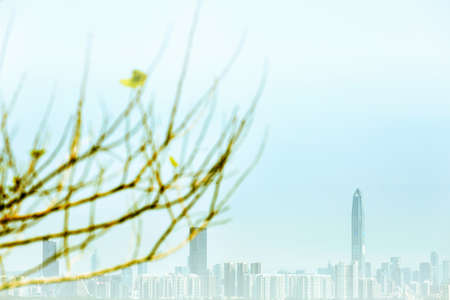 urban scenesのeditorial素材