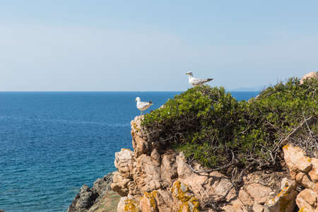 Isles Sanguinaires, small archipelago near Ajaccioの写真素材
