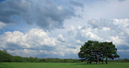 Cloudy sky over a treeの写真素材