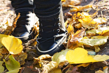 Modern shoes in yellow autumn leavesの写真素材