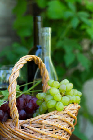Bottles of red and white wine with grapes, in natural lightの写真素材