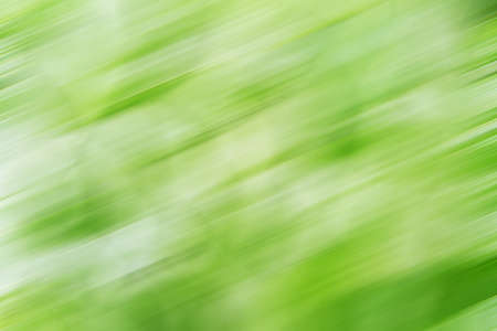 Abstract green background with soft dark and light variationsの写真素材