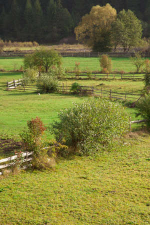 Carpathian mountains landscape