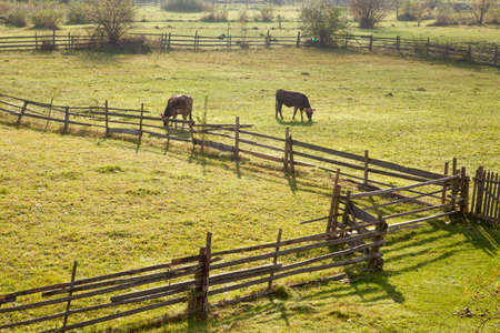 Carpathian mountains landscapeの写真素材