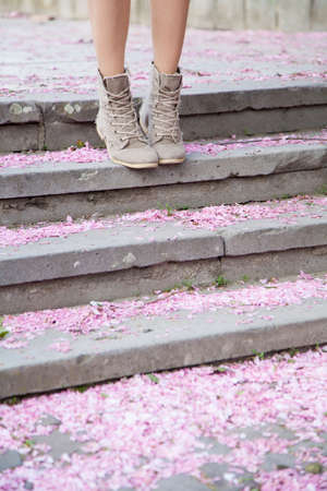 Sakura petals on the groundの写真素材