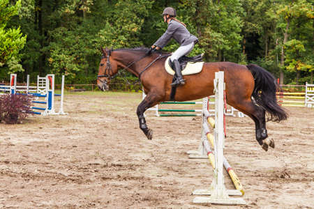 Wroclaw, Poland:  SEPT 29 - Horse trials in Wroclawのeditorial素材