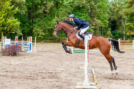 Wroclaw, Poland:  SEPT 29 - Horse trials in Wroclawのeditorial素材