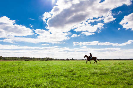 Young woman riding a horse in the countrysideの写真素材