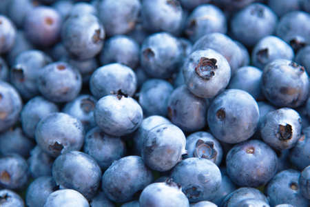Blueberries macro photoの写真素材