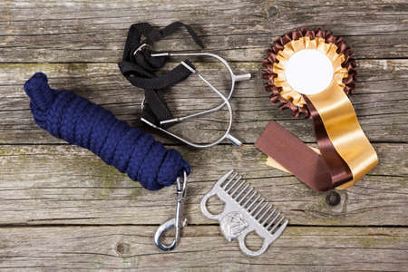 Equestrian sport accessories