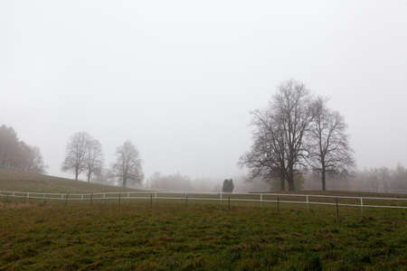 Foggy landscapeの写真素材