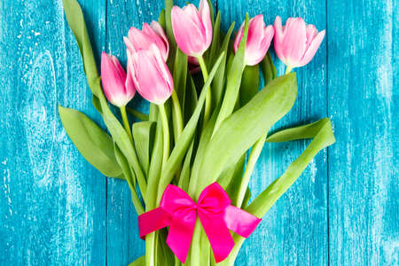 Beautiful pink tulips on blue wood background.の写真素材