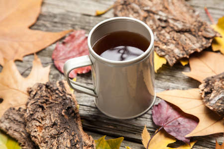 Cup of hot tea on autumn dayの写真素材
