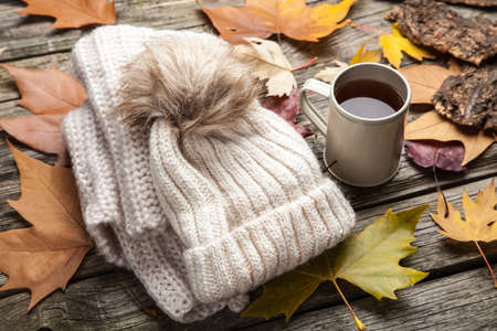 Warm clothes and a cup of tea on autumn dayの写真素材