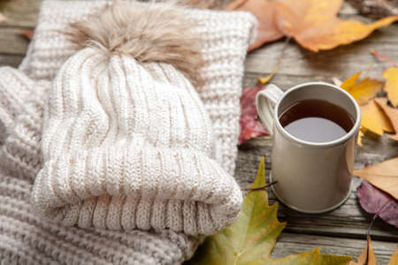 Warm clothes and a cup of tea on autumn dayの写真素材