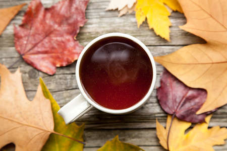 Cup of hot tea on autumn dayの写真素材