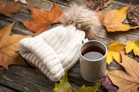 Warm clothes and a cup of tea on autumn day