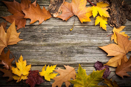 Warm clothes and a cup of tea on autumn day