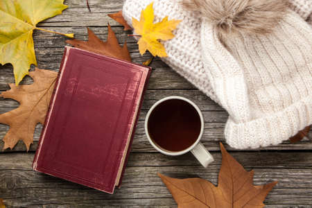 Warm clothes and a cup of tea on autumn dayの写真素材