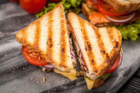 Grilled chicken sandwich with yellow cheese and vegetablesの写真素材