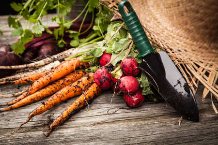 Fresh organic vegetables on wooden surfaceの写真素材