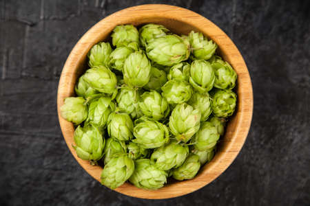 Fresh green hops - beer brewing ingredientの写真素材
