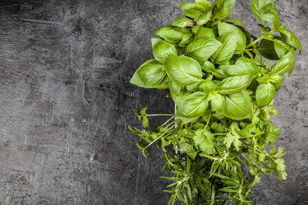 Fresh herbs on grey background - basil, rosemary, corianderの写真素材