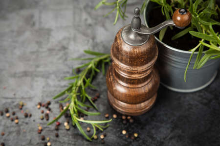Wooden pepper grinder on dark backgroundの写真素材