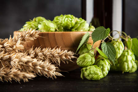 Beer bottle with malt and hops, dark backgroundの写真素材
