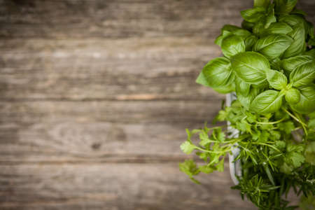 Fresh herbs on old wood background - basil, rosemary, corianderの写真素材