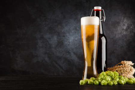 Beer glass and bottle with malt and hops, dark backgroundの写真素材