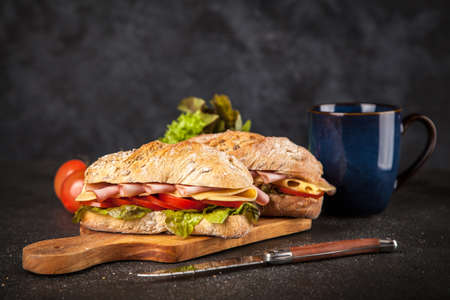 Delicious ciabatta sandwichの写真素材