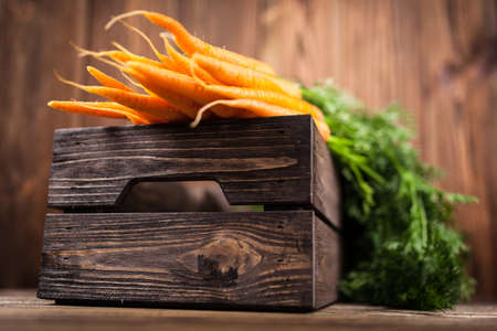 Fresh organic carrotの写真素材